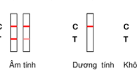 Hướng dẫn sử dụng que thử ma túy Tổng hợp
