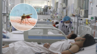 PHÒNG TRÁNH NHỮNG BỆNH DO MUỖI TRUYỀN SAU MÙA MƯA