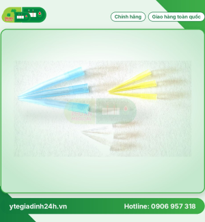 Đầu côn Xanh không khía, Đầu côn Vàng không khía, Đầu côn Trắng