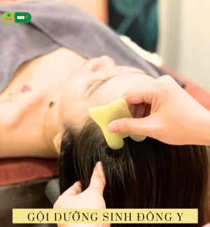 GỘI ĐẦU DƯỠNG SINH ĐÔNG Y 169k