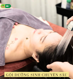 GỘI DƯỠNG SINH ĐÔNG Y 199K