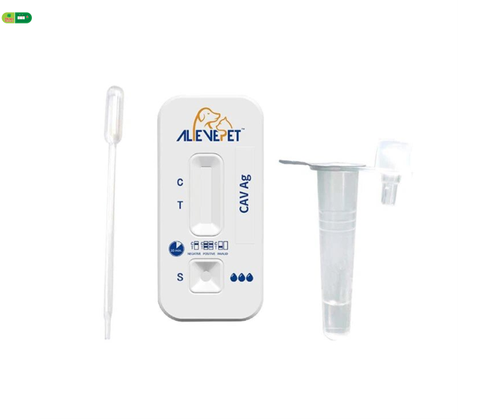 Que test nhanh tại nhà xét nghiệm kháng nguyên Canine Adenovirus (II)