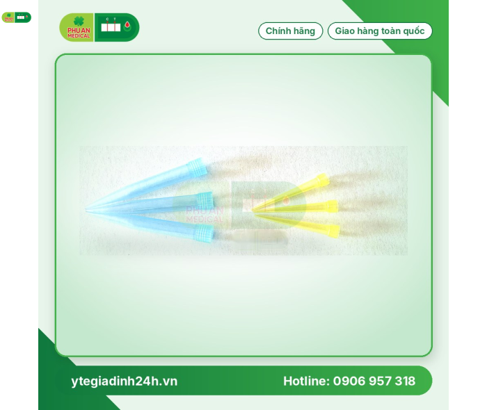 Đầu côn Xanh có khía, Đầu côn Vàng có khía