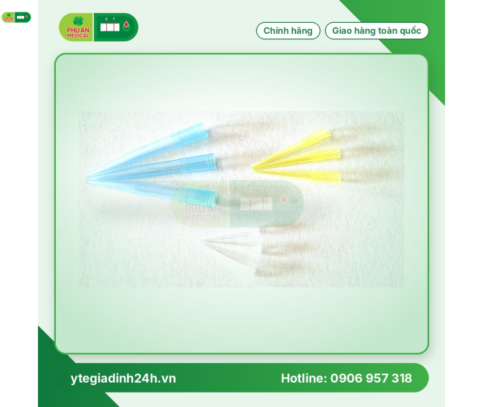 Đầu côn Xanh không khía, Đầu côn Vàng không khía, Đầu côn Trắng