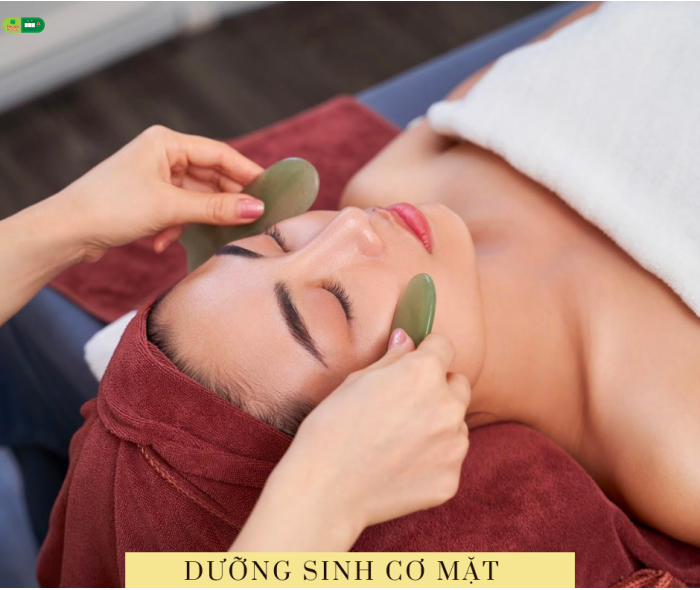 DƯỠNG SINH CƠ MẶT - NÂNG CƠ MẶT NGỌC 