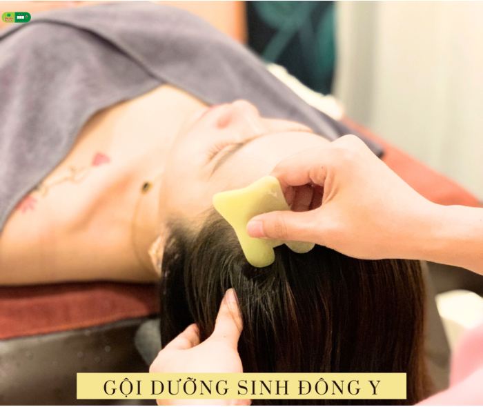 GỘI ĐẦU DƯỠNG SINH ĐÔNG Y 169k