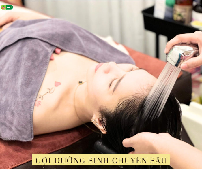 GỘI DƯỠNG SINH ĐÔNG Y 199K