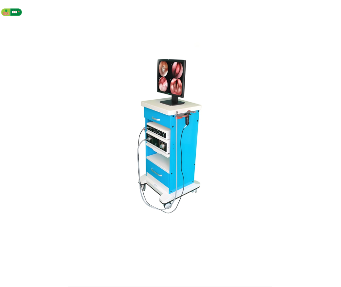 Máy nội soi Tai Mũi Họng (XLC-200/LS-600)