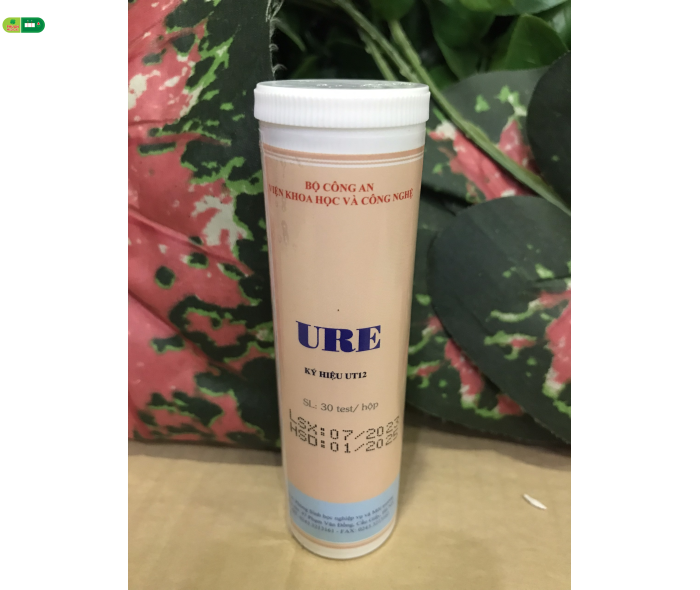 Test Kiểm Tra Nhanh URE